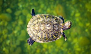 How to Sell Property During a Slow Market for Success