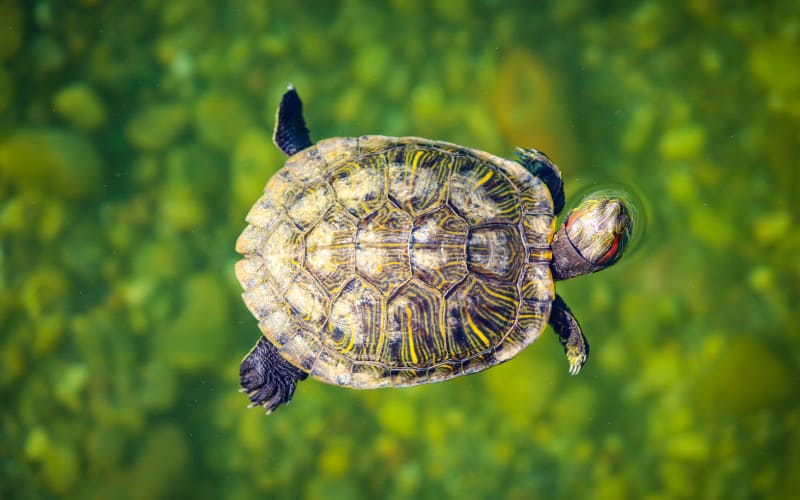 How to Sell Property During a Slow Market for Success