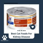 Best Places to Sell Broken or Damaged Phones Made Easy