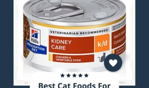 Best Places to Sell Broken or Damaged Phones Made Easy Best Places to Sell Broken or Damaged Phones Made Easy