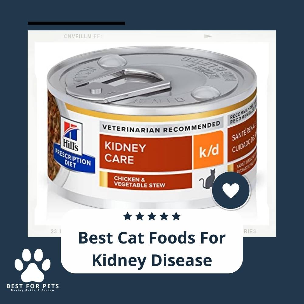 Best Websites to Compare Smartphone Deals at Your Fingertips