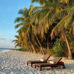 Travel bags for wine the perfect companion for your adventures