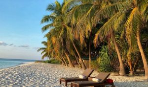 Travel bags for wine the perfect companion for your adventures Travel bags for wine the perfect companion for your adventures