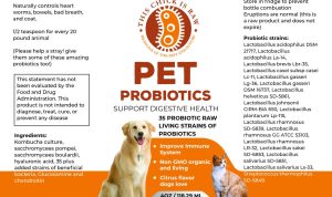 Probiotic For Pets The Ultimate Health Boost