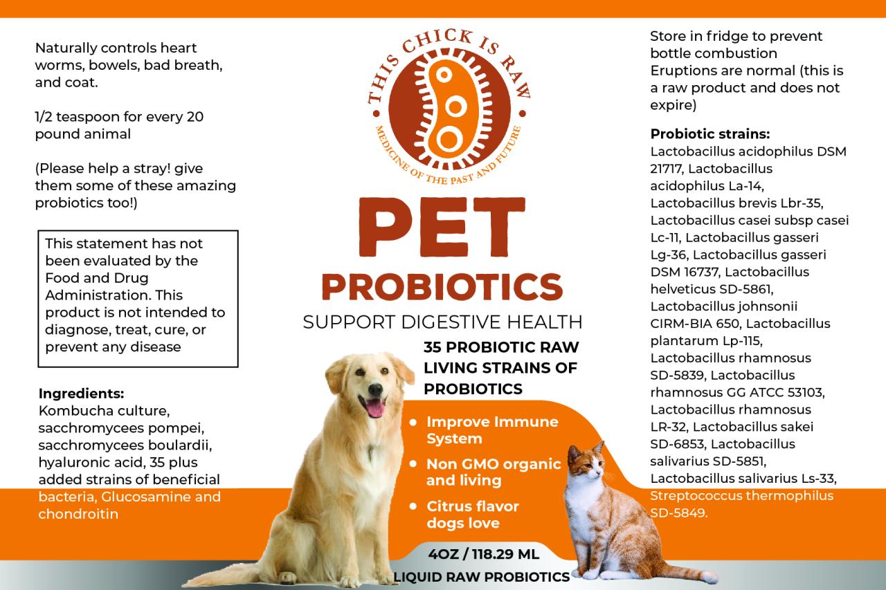 Probiotic For Pets The Ultimate Health Boost