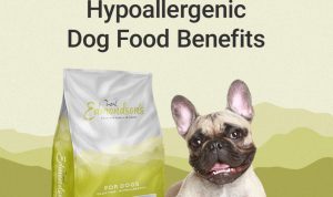 Hypoallergenic Dog Food For Sensitive Pups