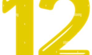 12 x 6 outdoor rug Transform Your Outdoor Space Today