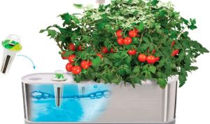 AeroGarden Harvest Elite Indoor Garden Fresh Herbs All Year