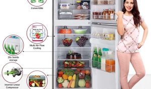 LG Smart Inverter Refrigerator 2 Door Excels in Style LG Smart Inverter Refrigerator 2 Door Excels in Style