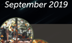 articles real estate Comprehensive Insights for Investors articles real estate Comprehensive Insights for Investors