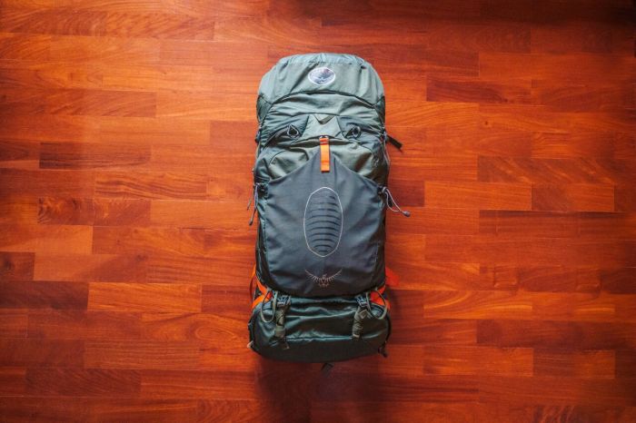 Osprey Atmos AG 65 Backpack for Long Distance Hiking