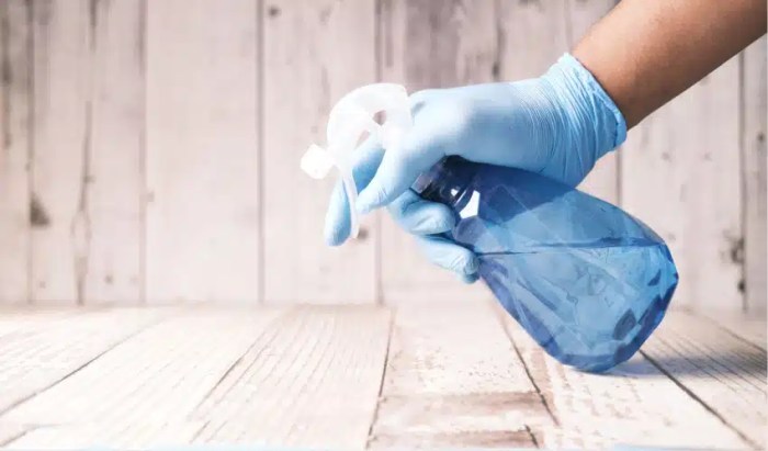 Outdoor disinfectant spray for safe outdoor spaces