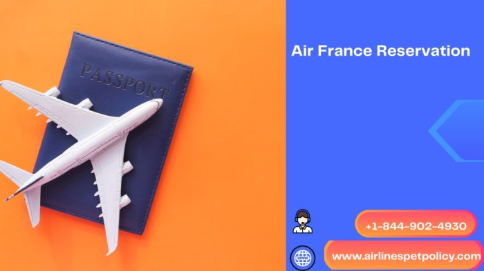Air France Flight Reservations Simplified for Travelers