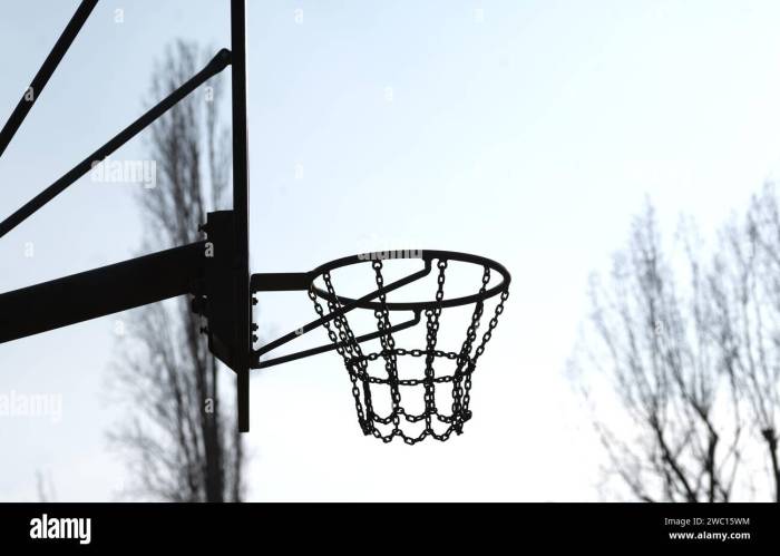 Outdoor basketball hoop reviews for home recreation